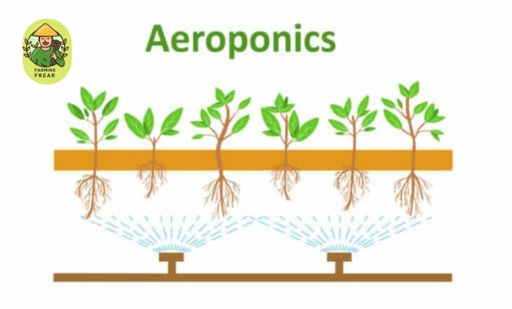 How to Make an Aeroponics System