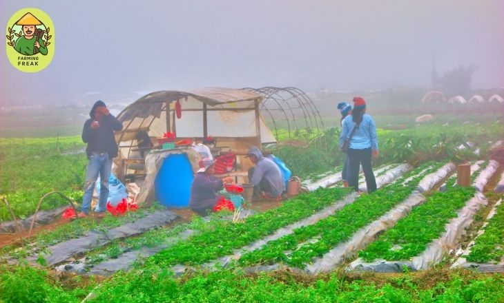 what do farmers do in the winter