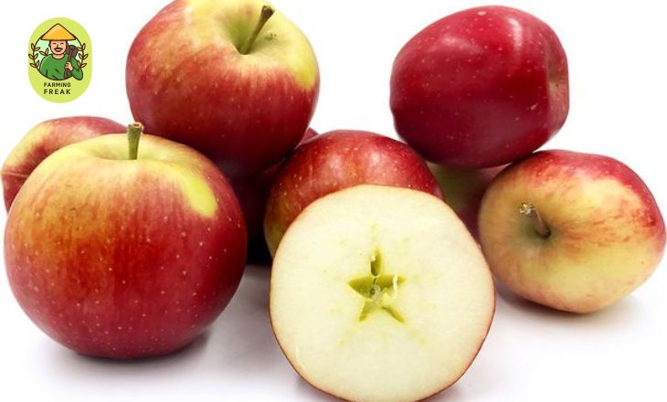 Why Are Some Apples Seedless? Benefits Of Seedless Varieties