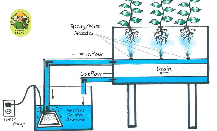 Aeroponics