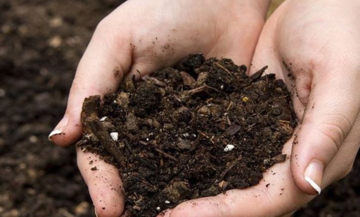 What Is Friable Soil and Why Is it Important